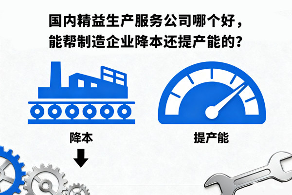 國(guó)內(nèi)精益生產(chǎn)服務(wù)公司哪個(gè)好，能幫制造企業(yè)降本還提產(chǎn)能的？
